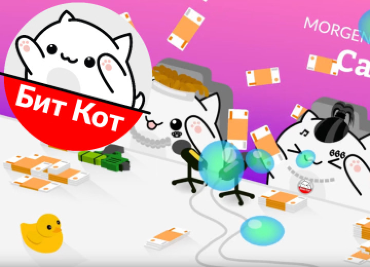 БитКот Character developping Russian version of Bongo Cats for Russian Youtube/TikTok markets.  